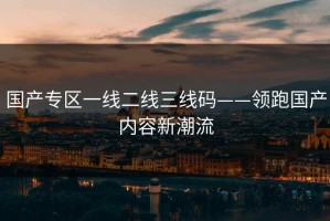 国产专区一线二线三线码——领跑国产内容新潮流