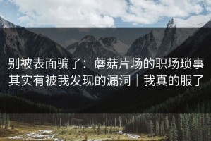 别被表面骗了：蘑菇片场的职场琐事其实有被我发现的漏洞｜我真的服了