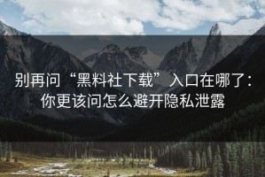 别再问“黑料社下载”入口在哪了：你更该问怎么避开隐私泄露