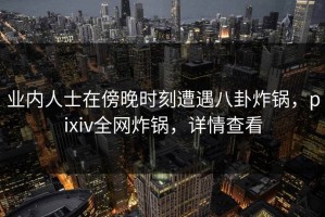 业内人士在傍晚时刻遭遇八卦炸锅，pixiv全网炸锅，详情查看