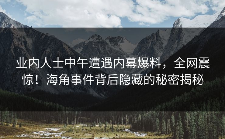 业内人士中午遭遇内幕爆料，全网震惊！海角事件背后隐藏的秘密揭秘