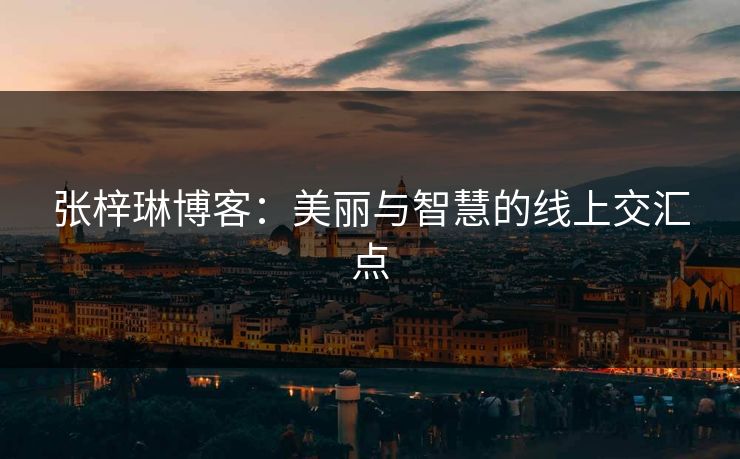 张梓琳博客：美丽与智慧的线上交汇点