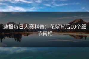 速报每日大赛科普：花絮背后10个细节真相