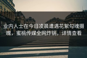 业内人士在今日凌晨遭遇花絮勾魂摄魄，蜜桃传媒全网炸锅，详情查看
